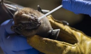 IMG_20260203_231642_(1200_x_750_piksel)